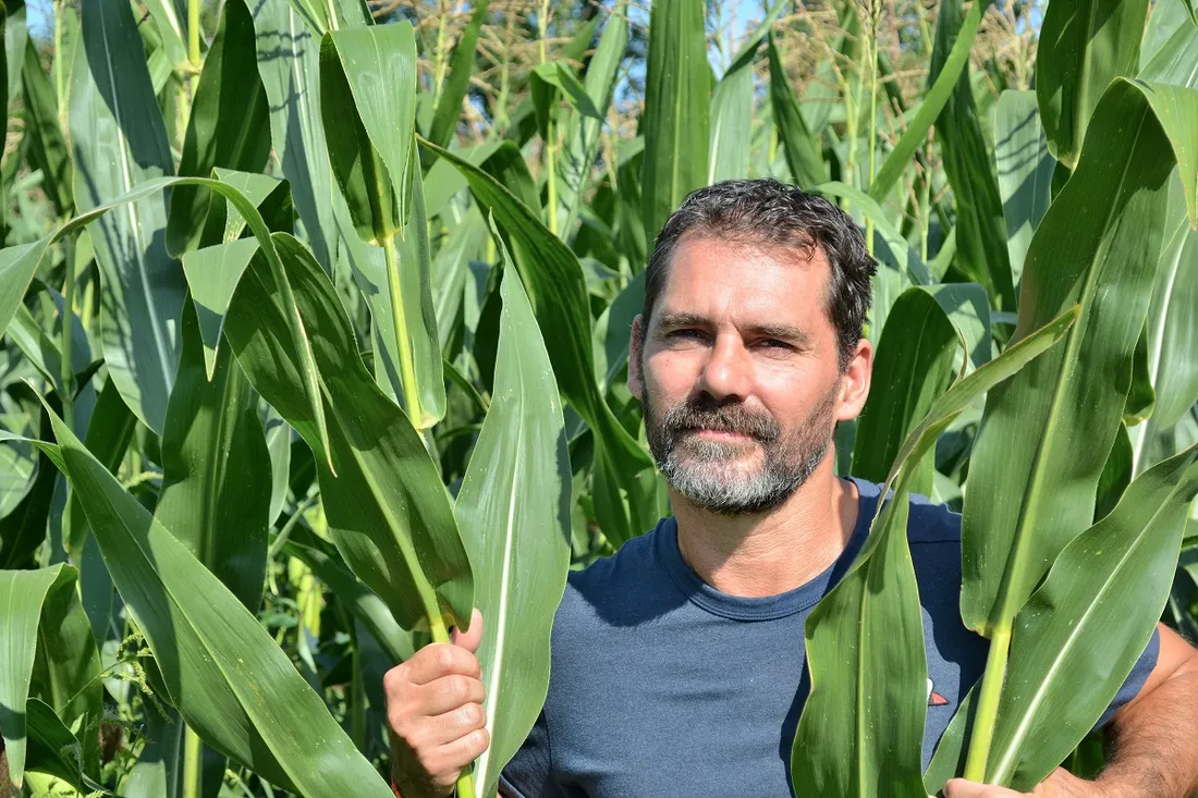 Pop Corn Labyrinthe 2